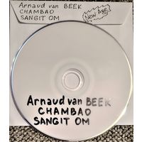 DVD MP3 дискография Arnaud van BEEK, CHAMBAO, SANGIT OM (New Age, electronic, mediative) - 1 DVD