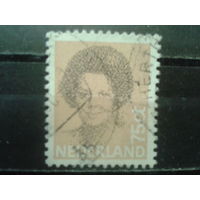 Нидерланды 1982 Королева Беатрис 75с