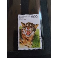 1996 Бенин фауна кошки концовка серии (3-1)