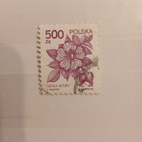 Польша 1989. Дикая роза. Шиповник