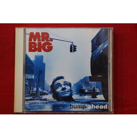 Mr. Big – Bump Ahead (1993, CD)