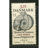 Доисторические окаменелости. Аммонит. Дания. 1998