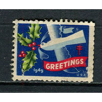 США - 1949 - Рождество и Новый год - (есть надрыв) - 1 виньетка. Чистая без клея.  (LOT EA41)-T10P29