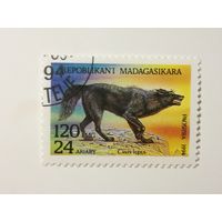 Мадагаскар 1994. Дикие животные.