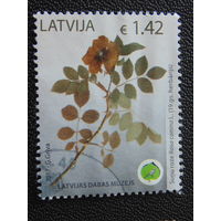 Латвия 2017 г. Флора.