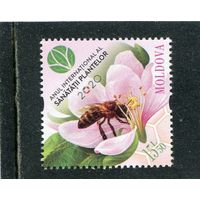 Молдавия 2020. Пчела