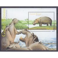 2001 Гвинея-Бисау 2008/B376 Фауна - Бегемоты 10,00 евро