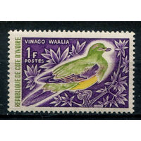 Кот д'Ивуар - 1966г. - птицы, 1 F - 1 марка - MNH. Без МЦ!