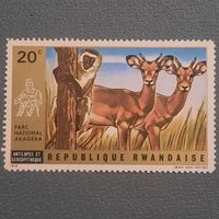 Руанда 1972. Антилопы и приматы. Национальный парк Akagera