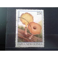 Папуа Новая Гвинея, 1996. Грибы,  К 12