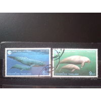 Таиланд 1998 Морская фауна