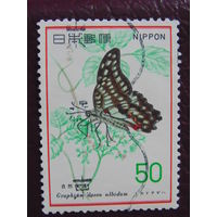 Япония. Бабочка.