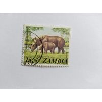 Замбия 1975 носороги