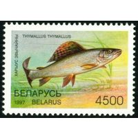 Редкие виды рыб водоемов Беларусь 1997 год (228) 1 марка