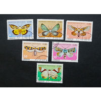 Куба 1979 г. Мотыльки. Ночные бабочки. Насекомые. Фауна, полная серия из 6 марок #0130-Ф2P28