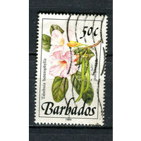 Барбадос - 1989/1990 - Цветы 50С - [Mi.734X] - 1 марка. Гашеная.  (Лот 93Dh)