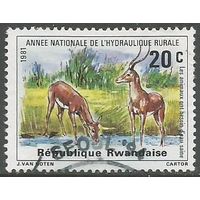 Руанда. Антилопы. 1981г. Mi#1152.