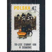 Польша ПНР 1980 150 летие конезавода в Сиракове #2668