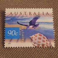 Австралия 1999. Фауна. Brahminy Kite