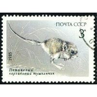 Животные "Красной Книги" СССР 1985 год 1 марка