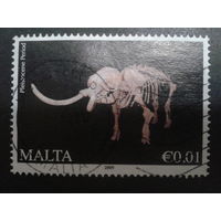 Мальта 2009 ископаемый скелет, плейстоцен