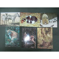 Подборка открыток Животные.