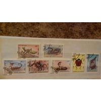 Насекомые, змеи, жуки, пауки, скорпионы, фауна, марки, Афганистан, 1986