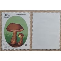 Куба 1988 Ядовитые грибы.3 с