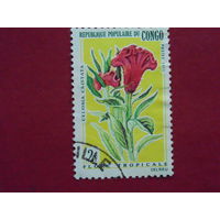 Конго 1971г. Флора.