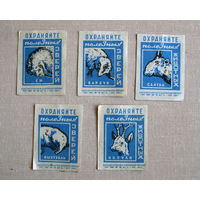 Спичечные этикетки Охраняйте полезных животных зверей 5 штук 1964 Волго-Вятский СНХ Синие