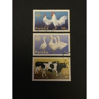 Сельскохозяйственные животные. Польша,1975, 3 марки из серии