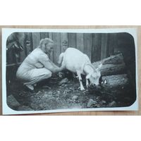 Фото сельского быта. Доение козы. 1949 г. 5.5х8.5 см