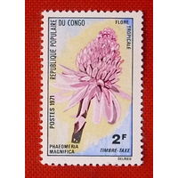 Конго. Цветы. ( 1 марка ) 1971 года.