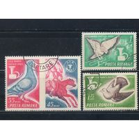 Румыния CР 1965 День почтовой марки Полная #2457-9