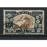 Новая Зеландия - 1936 - Гора Кука 2 1/2Р - [Mi.216A] - 1 марка. Гашеная.  (LOT FB13)-T10P32