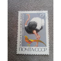 СССР 1968. Страус. Золотой фазан