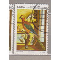 Птицы Фауна Куба 1978 год лот 1075     Попугаи
