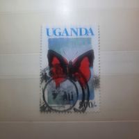 Уганда. Фауна. Бабочки