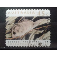 Австралия 1992 Мышь-древолаз