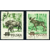Охраняемые животные Польши 1954 год 2 марки