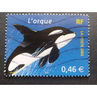 Франция 2002 дельфин