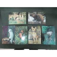 Подборка открыток Животные-1.