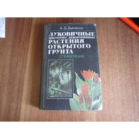 Луковичные цветочно-декоротивные растения открытого грунта.