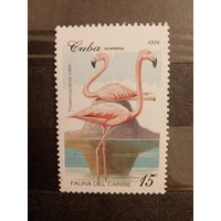 Куба 1994. Птицы. Фламинго