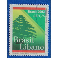 Бразилия 2003г. Флора
