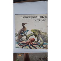 Книга Заколдованные острова.1975г.