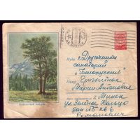 1959 год Кавказский пейзаж шт. Загрязнённый вид