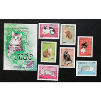 Вьетнам 1990 г. Кошки. Фауна, полная серия из 7 марок + Блок #0174-Ф1P41