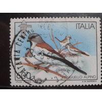 Италия 1995 Птица
