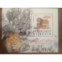 Бенин 2015. Фауна Африки. Львы. Малый лист.